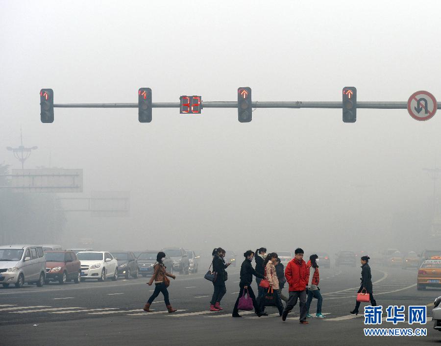 Китайский город Харбин окутало смогом (3)