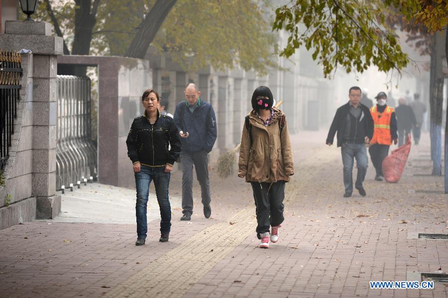 Из-за серьезного загрязнения воздуха в Харбине прекращены занятия в начальных и средних школах (7)