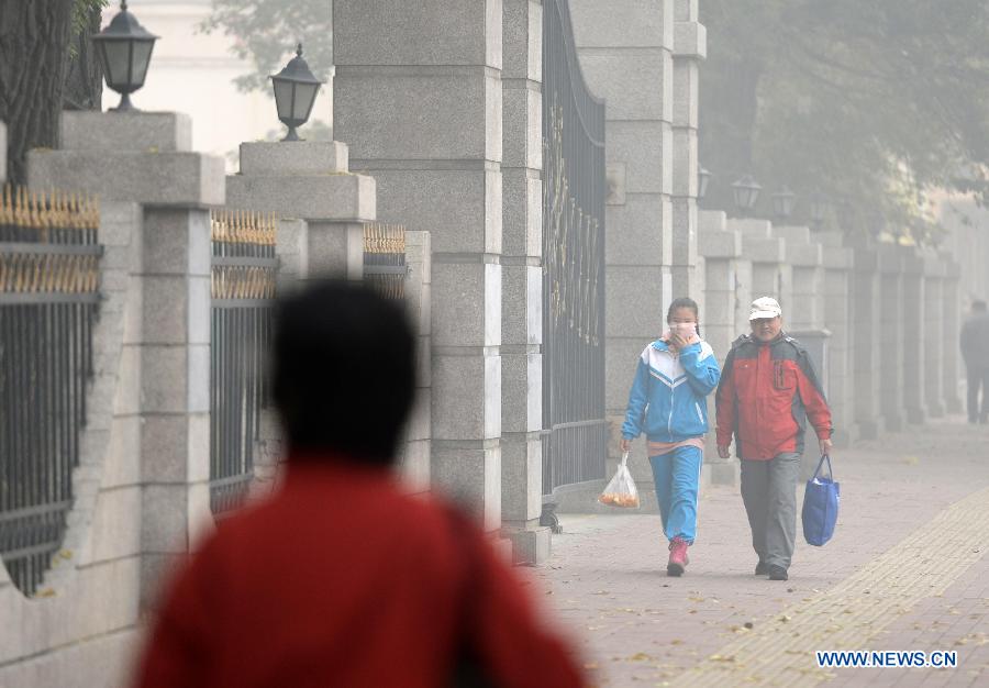Из-за серьезного загрязнения воздуха в Харбине прекращены занятия в начальных и средних школах (6)