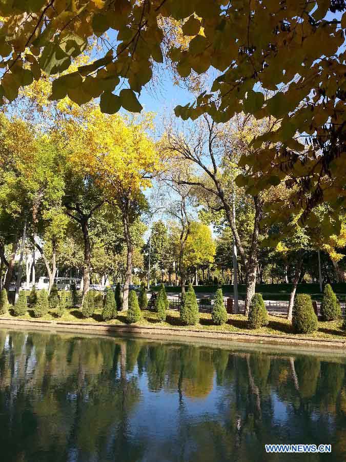 Осенние пейзажи Ташкента (2)