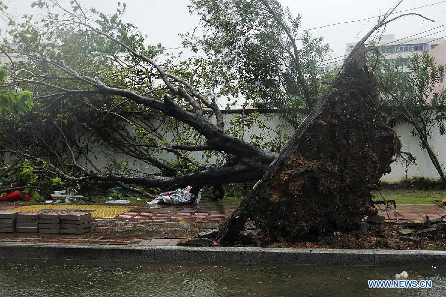 Тайфун "Хайянь" принес островной провинции Хайнань сильные дожди (3)