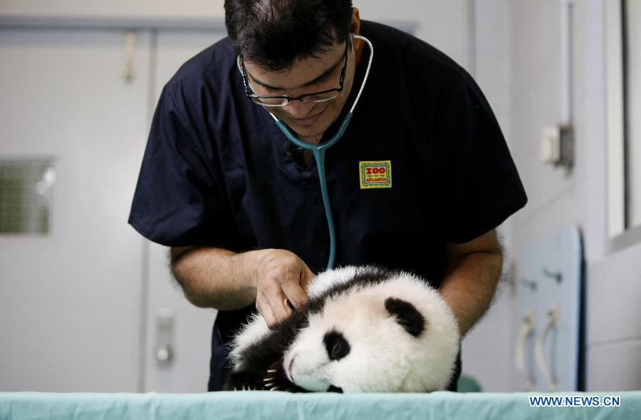 Пандам-близнецам, впервые родившимся в США, исполнилось 120 дней (3)