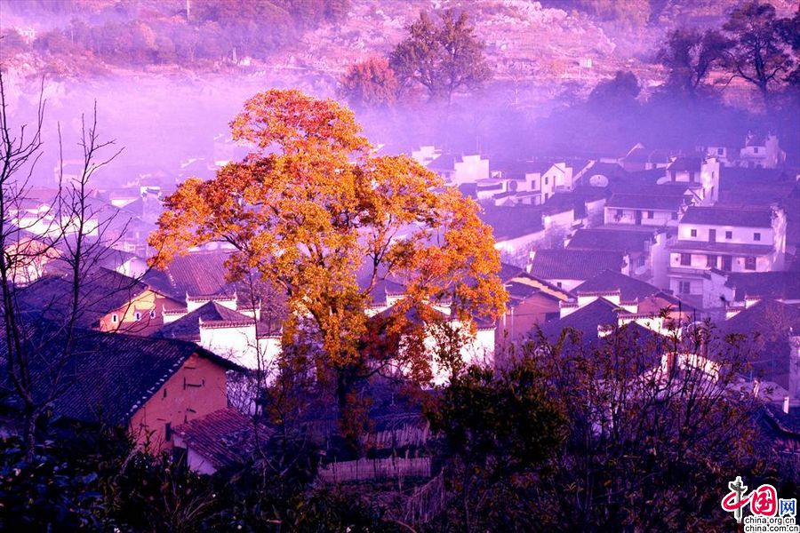 Уюань стал одной из 10 самых популярных туристических зон в Китае, где можно любоваться осенними пейзажами (4)