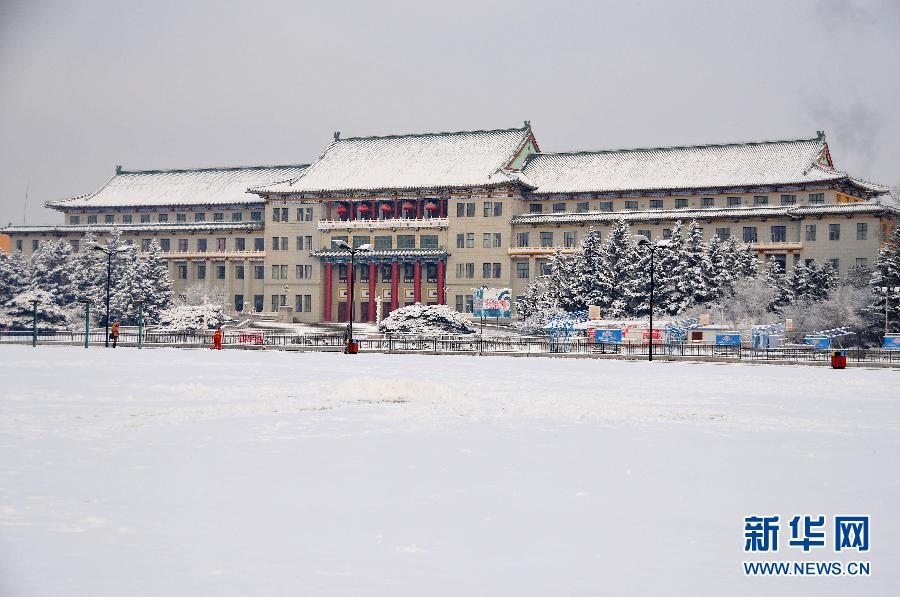 В Северо-Восточном Китае из-за снегопада парализовано движение транспорта (3)