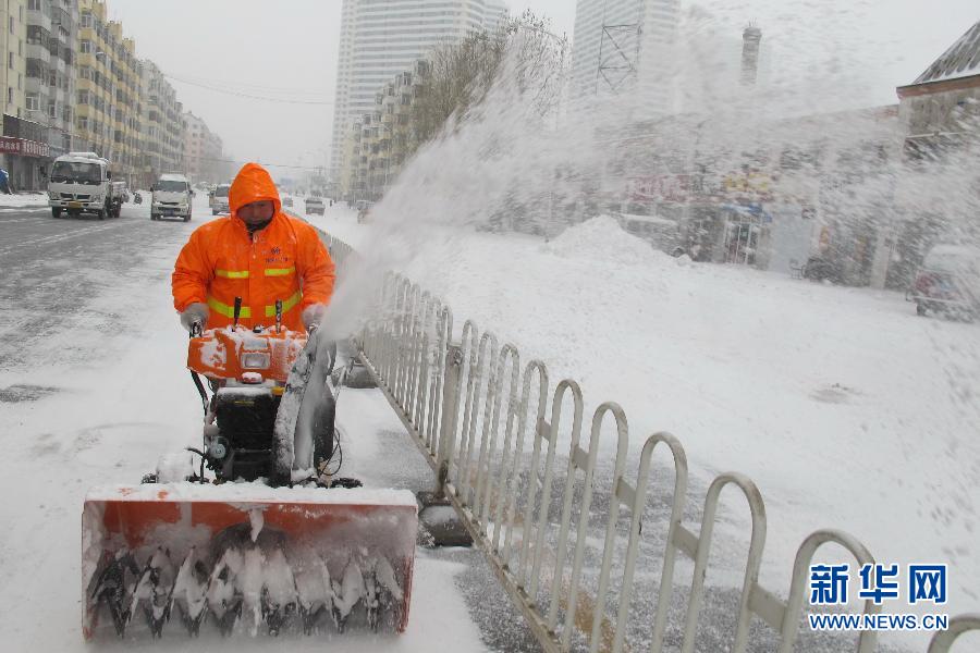 В Северо-Восточном Китае из-за снегопада парализовано движение транспорта (2)