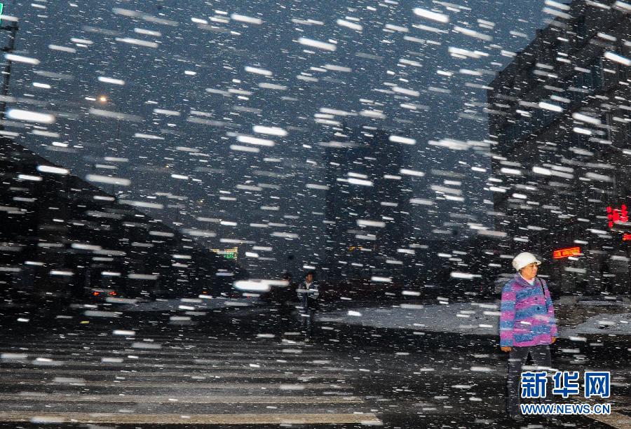 В Северо-Восточном Китае из-за снегопада парализовано движение транспорта (5)