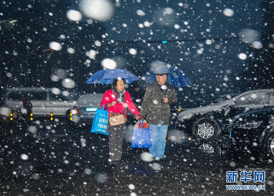 В Северо-Восточном Китае из-за снегопада парализовано движение транспорта (6)