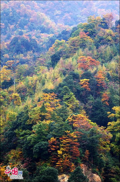 Природное очарование! Осенние пейзажи на горах Гуанъушань (11)