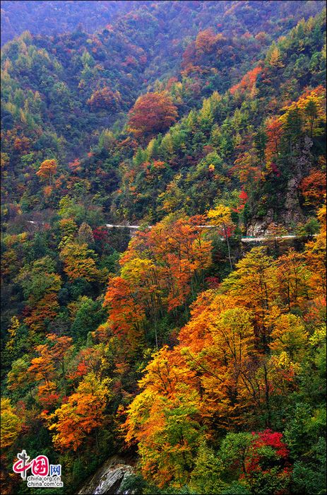 Природное очарование! Осенние пейзажи на горах Гуанъушань (5)