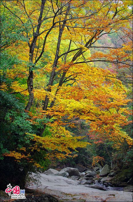 Природное очарование! Осенние пейзажи на горах Гуанъушань (7)