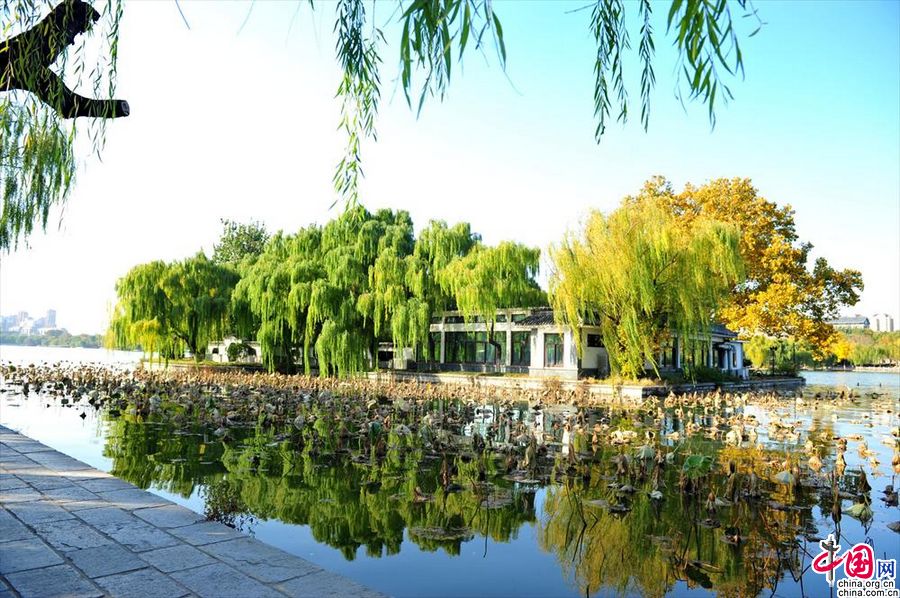 Шаньдун: чарующие осенние пейзажи в парке Даминху г. Цзинань (4)