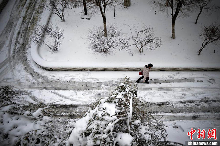 Количество снега в Урумчи за 12 часов достигло 13,4 мм (5)