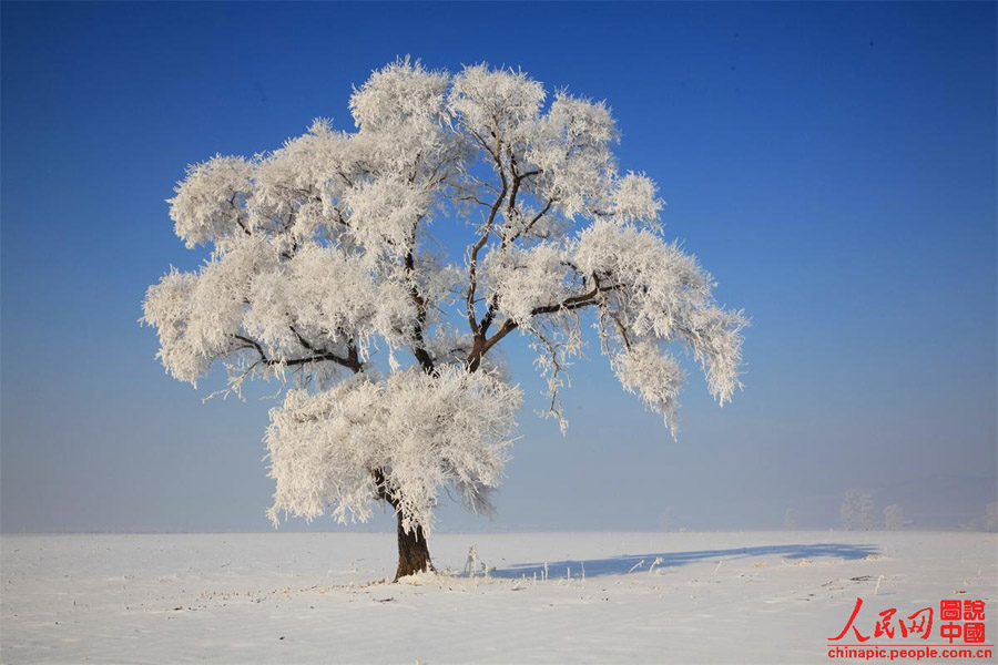 Зимняя красота в провинции Цзилинь (8)