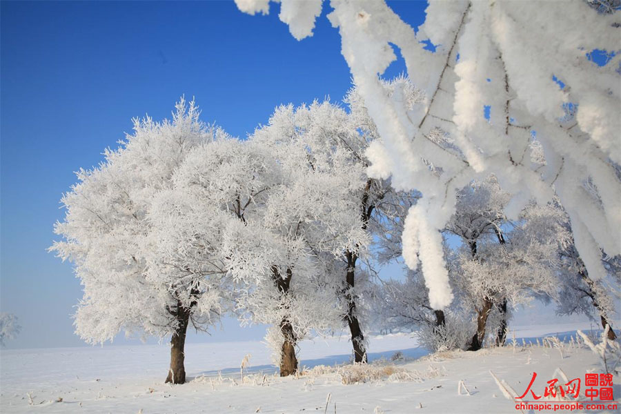 Зимняя красота в провинции Цзилинь (7)