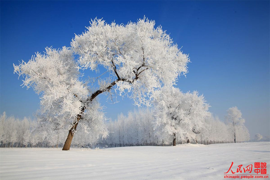 Зимняя красота в провинции Цзилинь