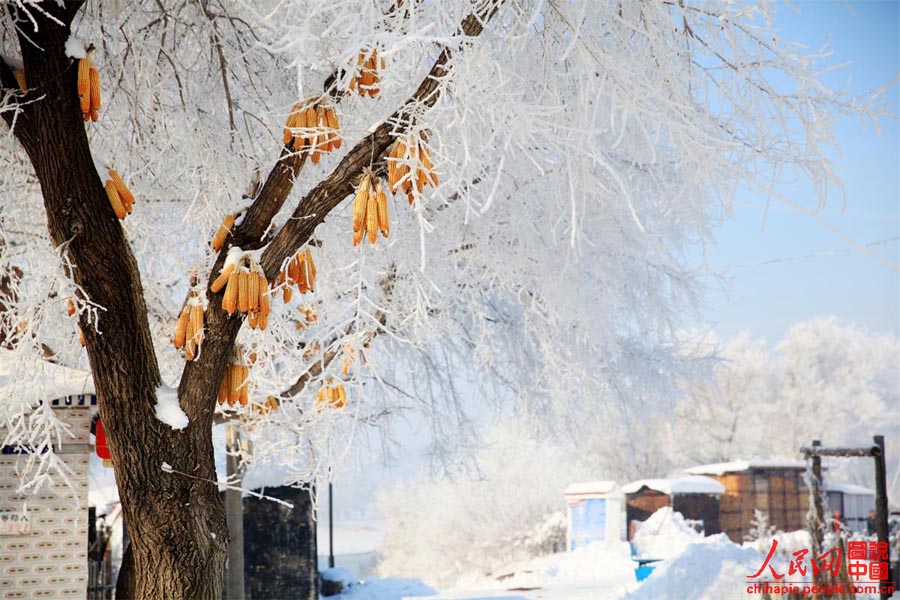 Зимняя красота в провинции Цзилинь (2)