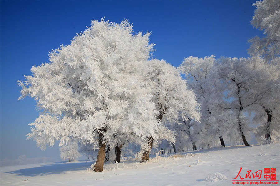 Зимняя красота в провинции Цзилинь (6)