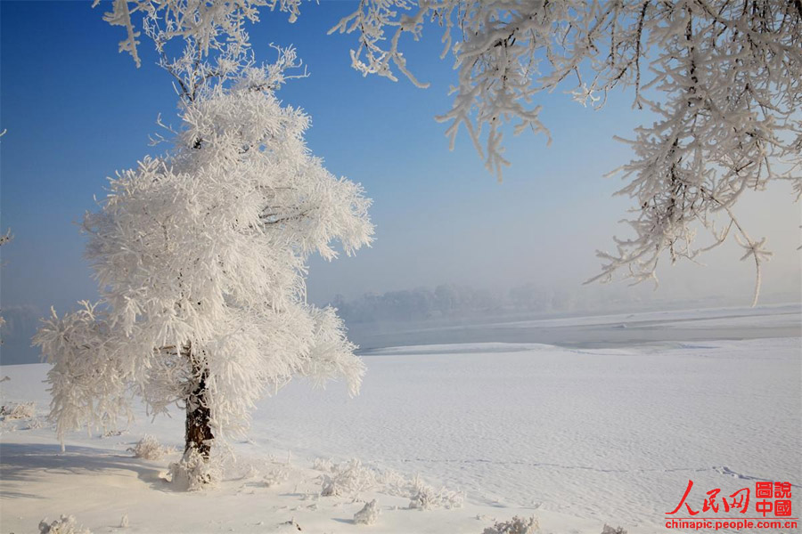 Зимняя красота в провинции Цзилинь (5)