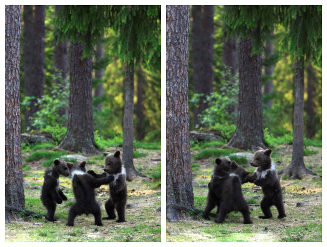Танец маленьких финских медвежат (5)