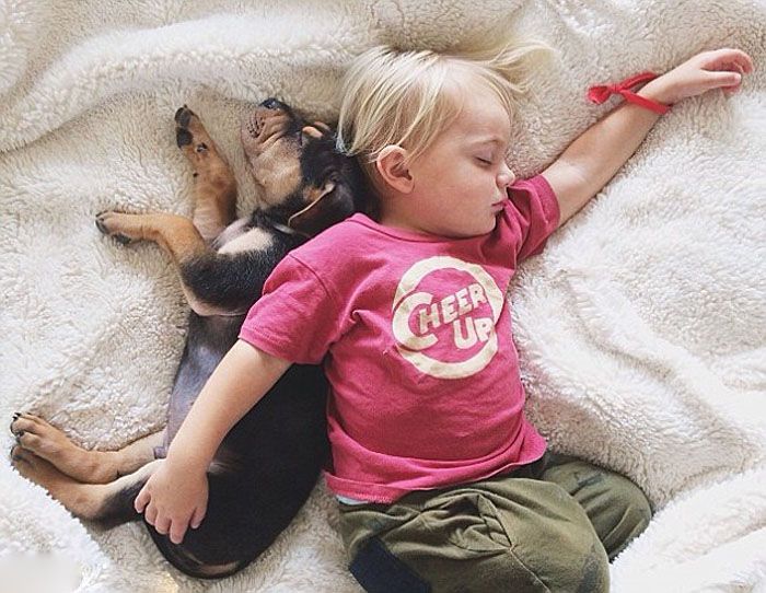 Ребенок на подушке с собакой (7)