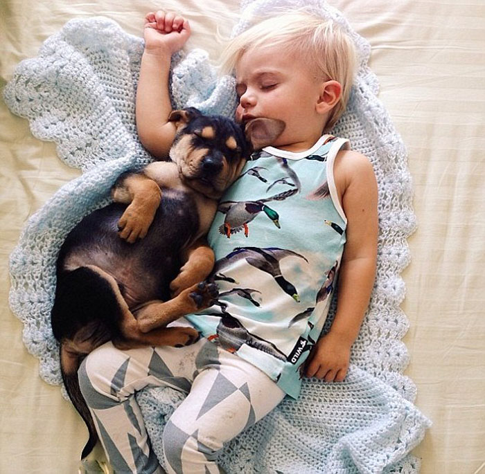 Ребенок на подушке с собакой (12)