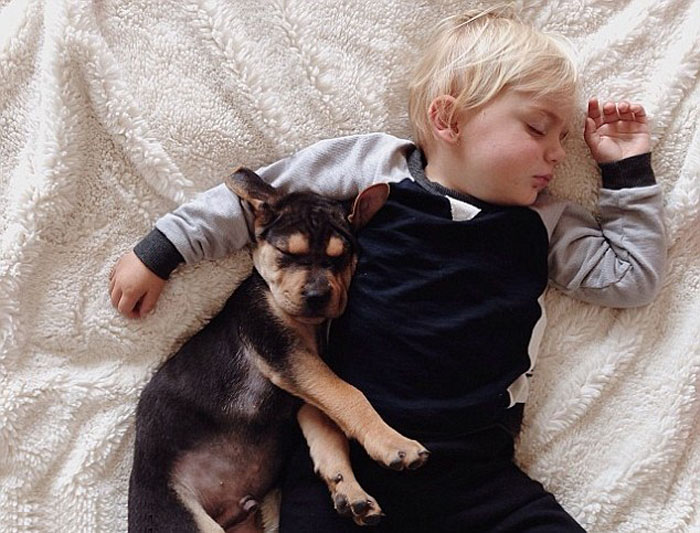Ребенок на подушке с собакой (9)