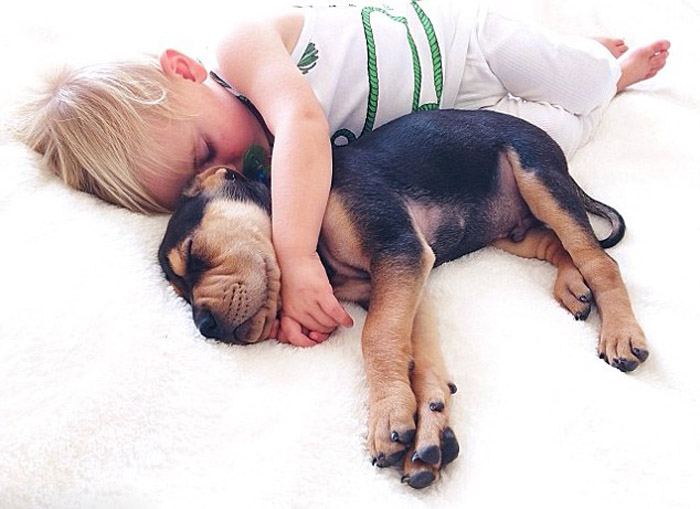 Ребенок на подушке с собакой (8)