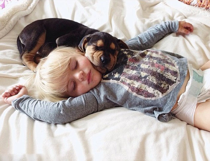 Ребенок на подушке с собакой (3)