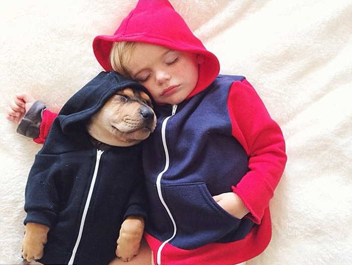 Ребенок на подушке с собакой (2)