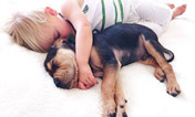 Ребенок на подушке с собакой