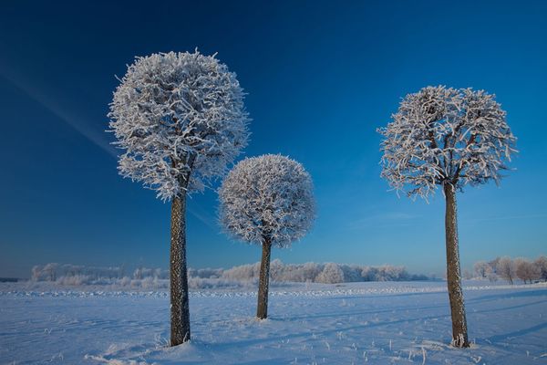 Прекрасные зимние пейзажи разных стран мира (33)