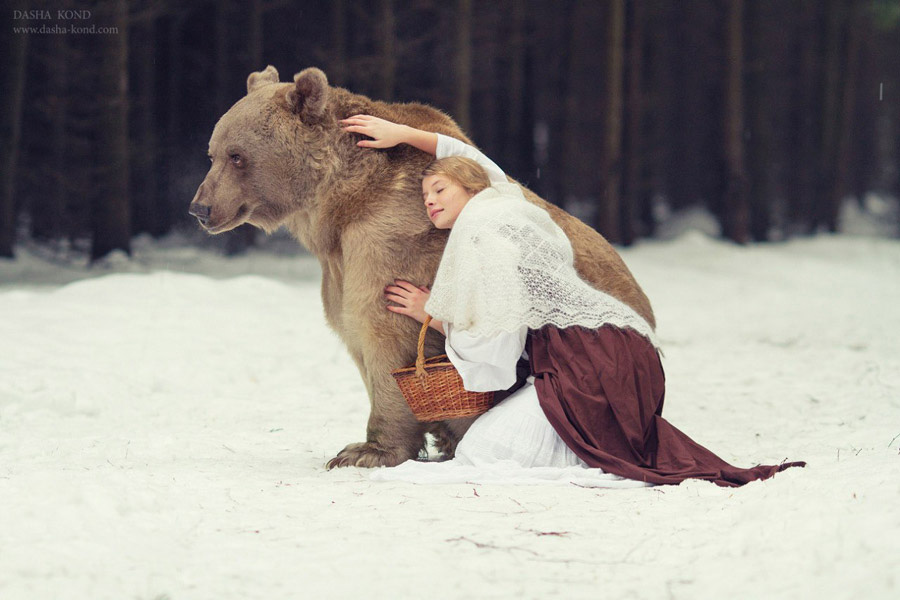 Русская красавица целует бурого медведя в снегах (4)