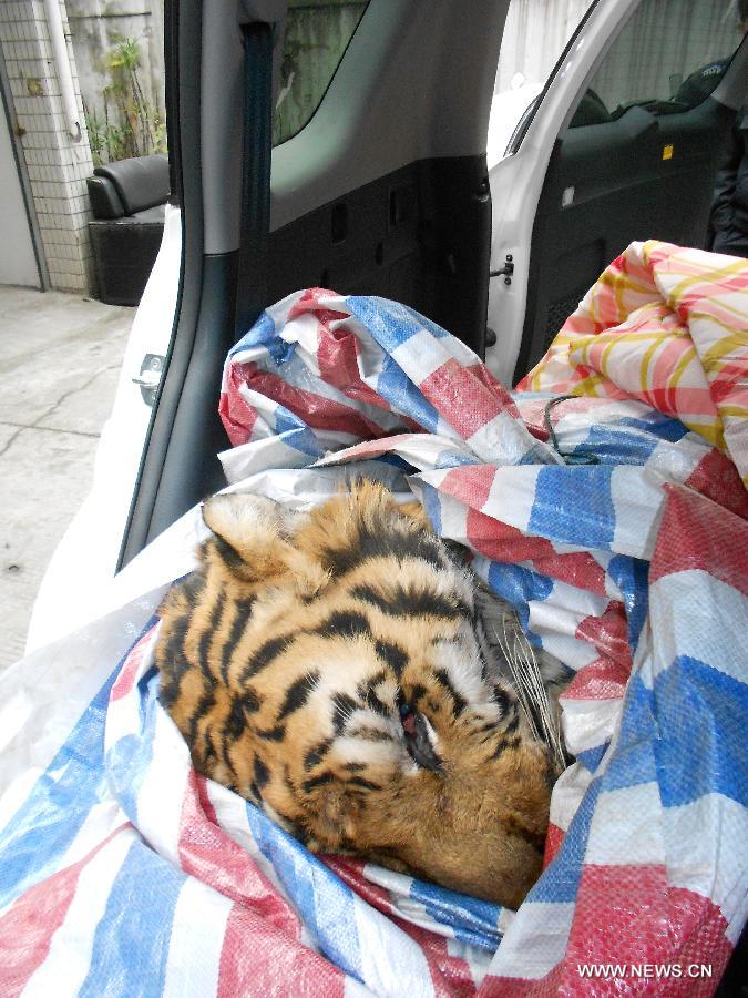 В центре китайского города Вэньчжоу сотрудниками полиции изъята туша мертвого маньчжурского тигра