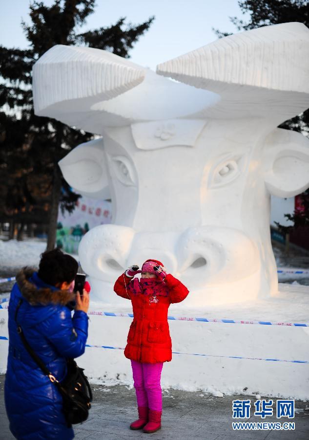 Снежные скульптуры украшают зимние города (3)