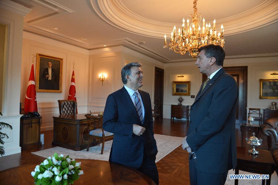 Президент Словении выступил в поддержку вступления Турции в ЕС (2)