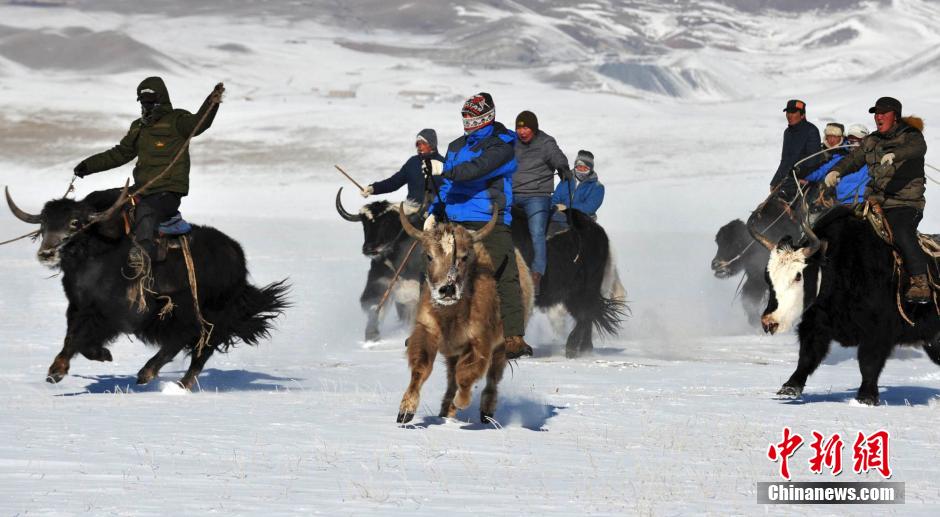 Фестиваль снега и льда в Синьцзяне привлек многочисленных туристов (5)