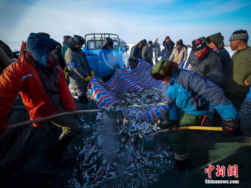 Зимняя рыбалка на озере Улунгур в Синьцзяне (7)
