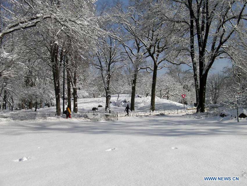 Центральный парк Нью-Йорка после снега