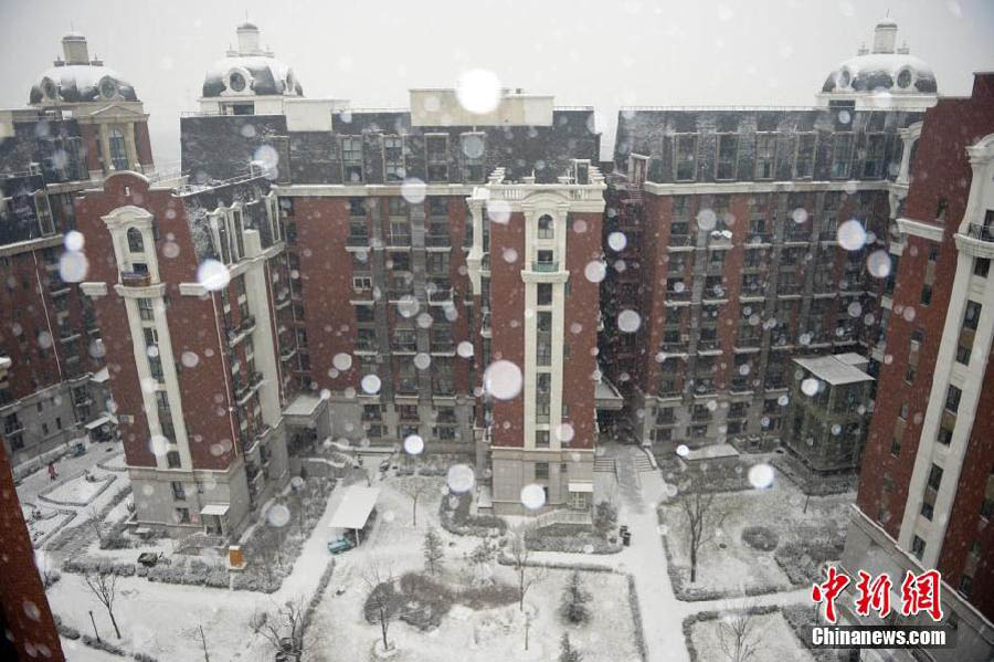 Первый рабочий день после новогодних «каникул» Пекин встретил первым снегом в этом зимнем сезоне (5)