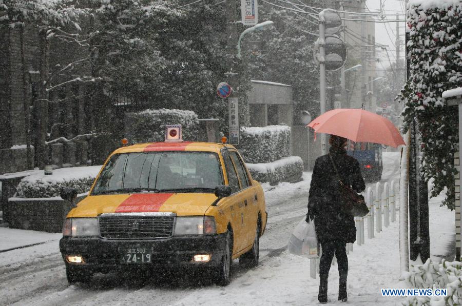5 человек стали жертвами сильного снегопада в Японии