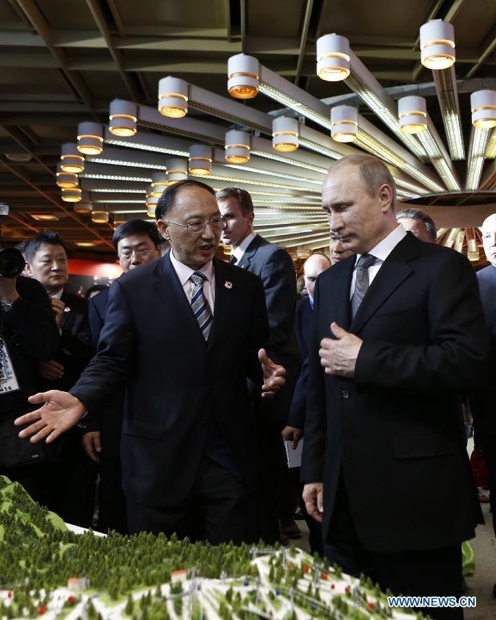 В. Путин посетил "Китайский дом" и пожелал Китаю удачи на зимней Олимпиаде в Сочи (6)
