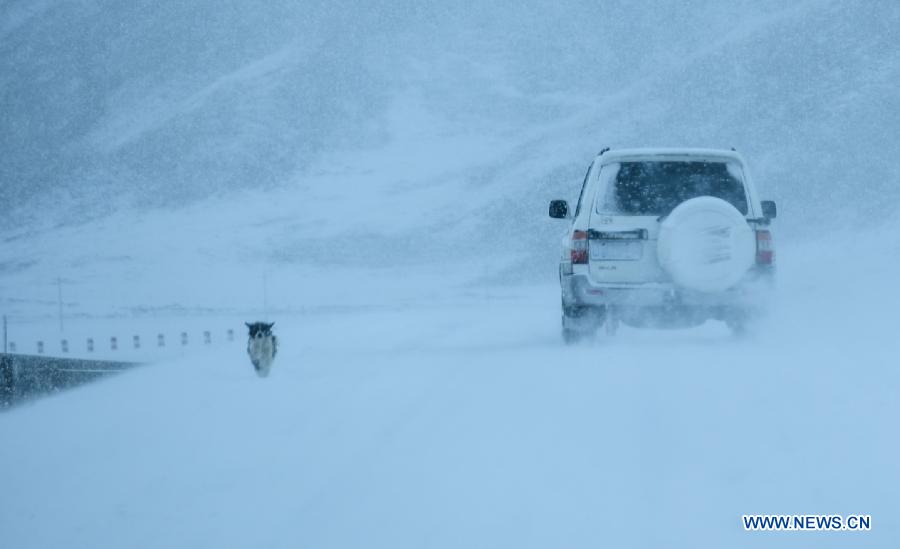 В большей части северного Китая пройдет сильный снегопад (2)