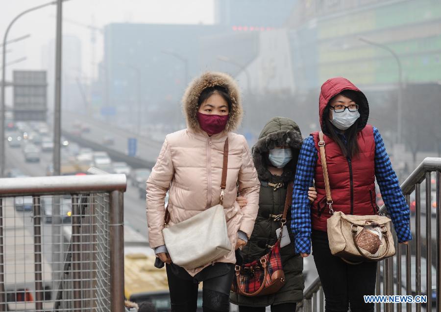 В Пекине объявлен "желтый" уровень опасности в связи с серьезным загрязнением воздуха (5)