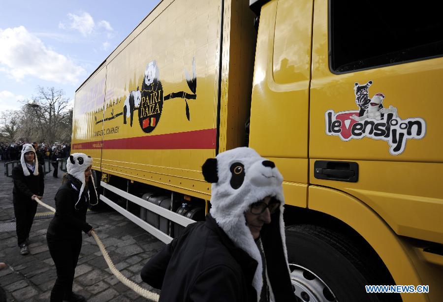 Две китайские панды доставлены в бельгийский зоопарк (5)