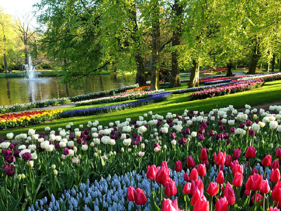 Романтическое весеннее путешествие в Нидерланды (3)