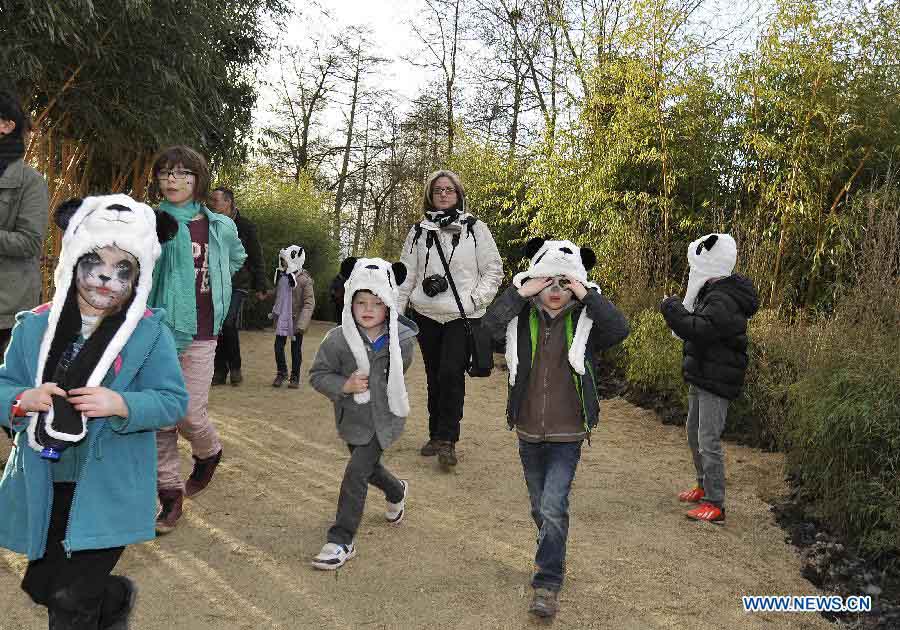 Добро пожаловать в Бельгию, китайские панды! (10)