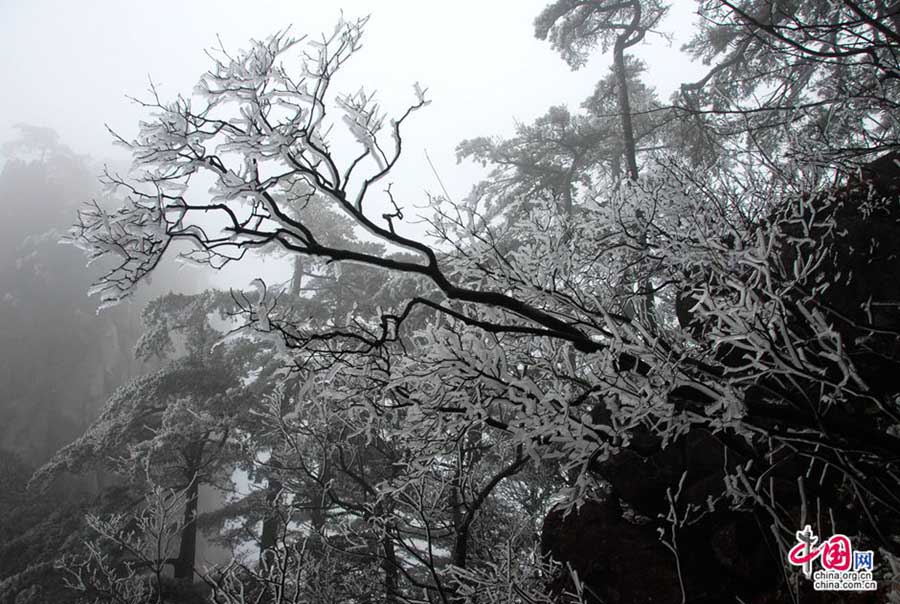 Весенняя изморозь в горах Хуаншань (2)