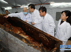 Раскрыт гроб аристократа династии Северная Вэй