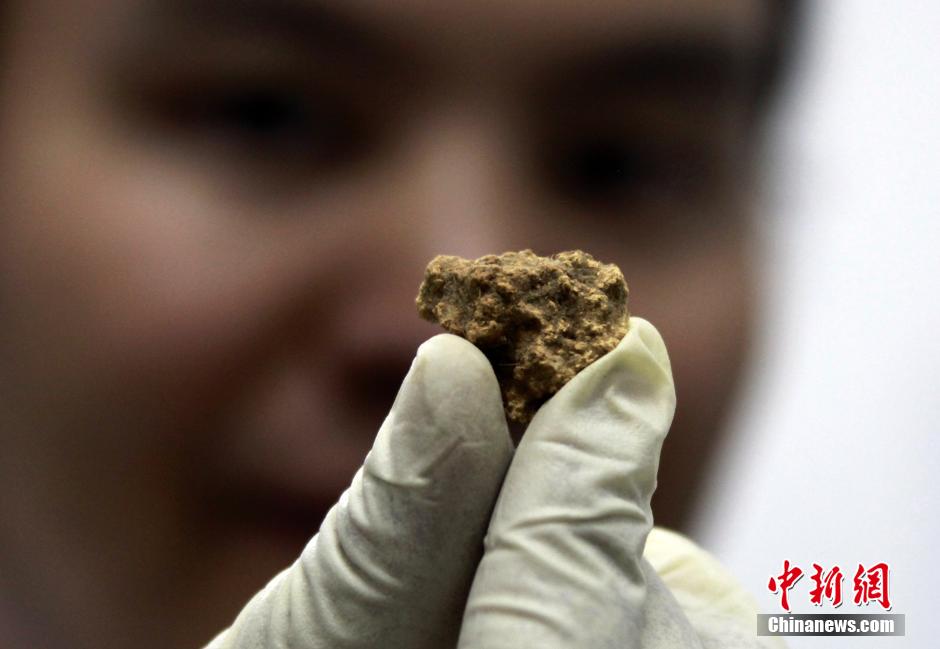 Китайские и немецкие ученые обнаружили в Синьцзяне старейший в мире сыр