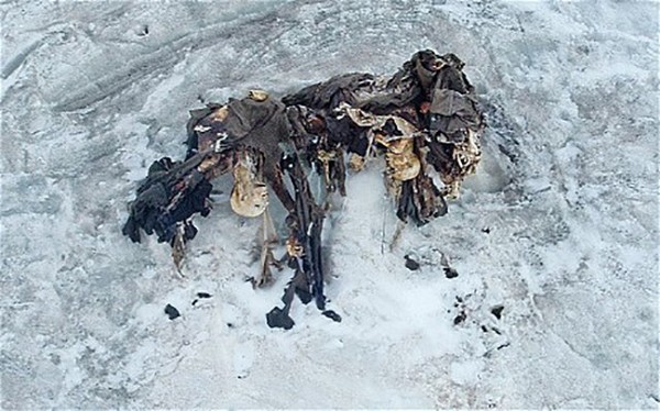 В растаявших альпийских льдах обнаружены 80 останков солдат времен Первой мировой войны (3)
